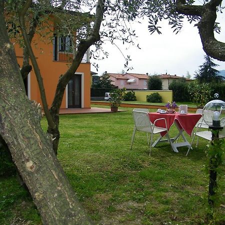 Triolivo B&B Лукка Экстерьер фото