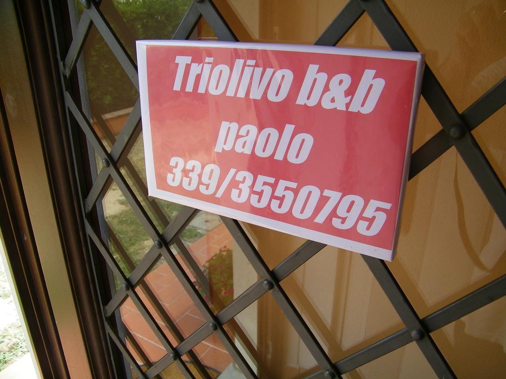 Triolivo B&B Лукка Экстерьер фото